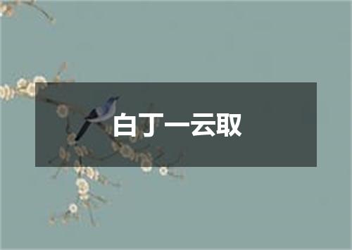 白丁一云取