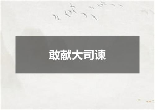 敢献大司谏