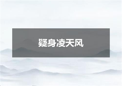 疑身凌天风