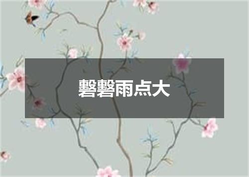 礊礊雨点大