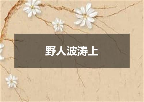野人波涛上