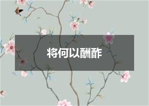 将何以酬酢