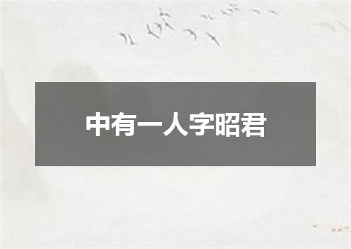 中有一人字昭君