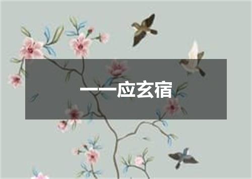 一一应玄宿