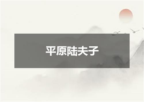 平原陆夫子