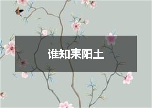 谁知耒阳土