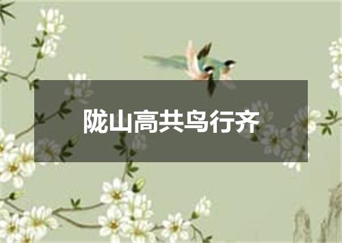 陇山高共鸟行齐