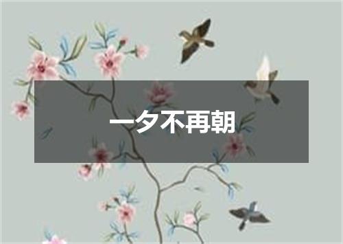 一夕不再朝