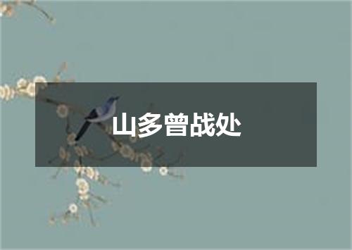 山多曾战处