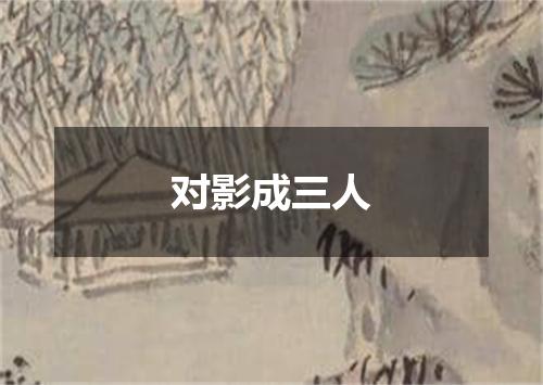 对影成三人