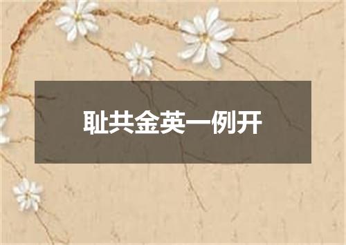 耻共金英一例开