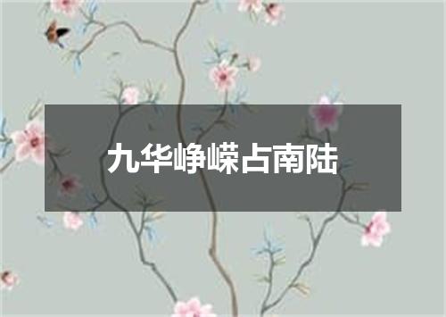 九华峥嵘占南陆