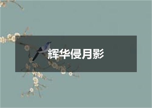 辉华侵月影