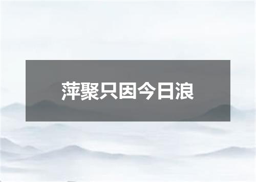 萍聚只因今日浪