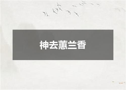 神去蕙兰香