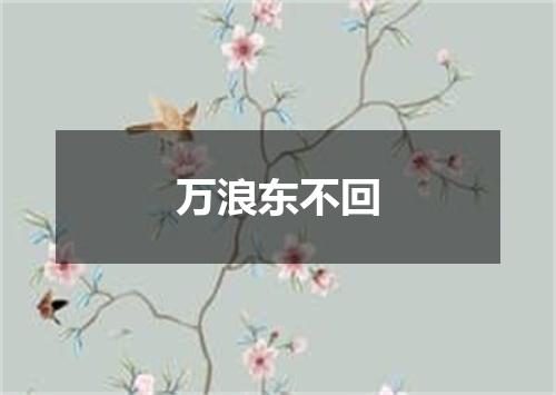 万浪东不回