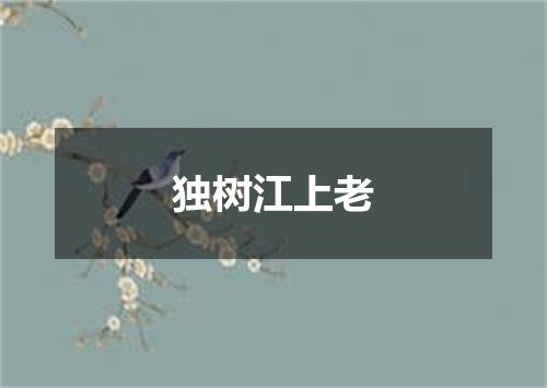 独树江上老