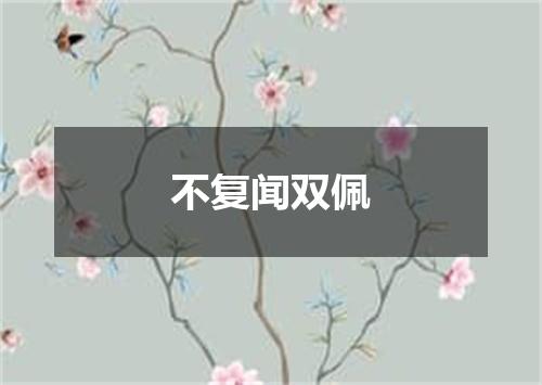 不复闻双佩
