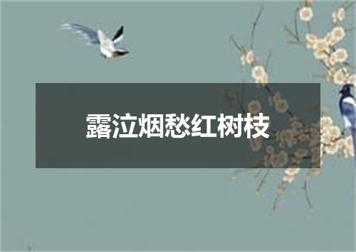 露泣烟愁红树枝