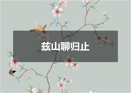 兹山聊归止