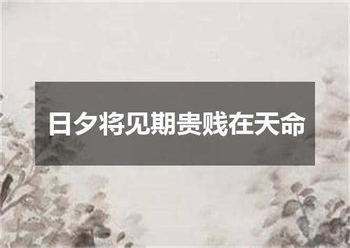 日夕将见期贵贱在天命