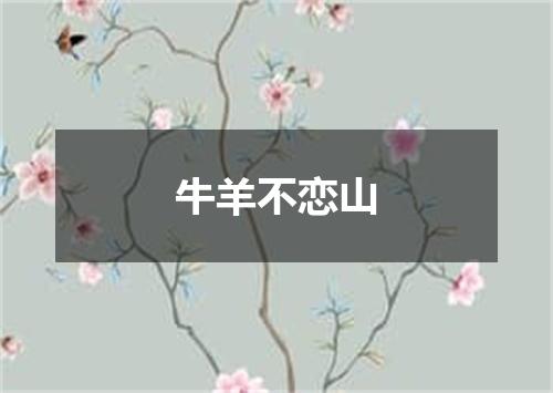 牛羊不恋山
