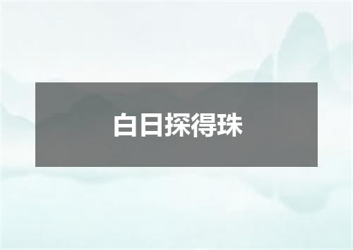 白日探得珠