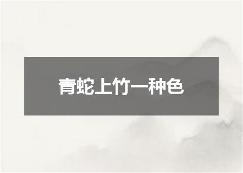 青蛇上竹一种色