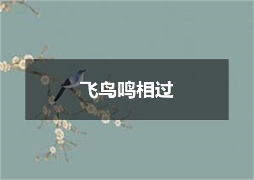 飞鸟鸣相过