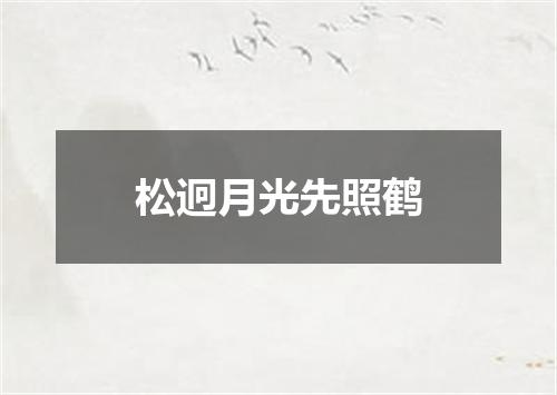 松迥月光先照鹤