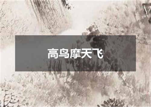 高鸟摩天飞