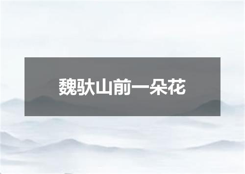 魏驮山前一朵花