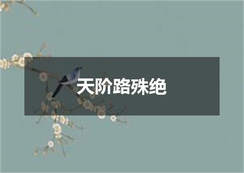 天阶路殊绝