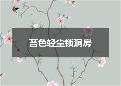 苔色轻尘锁洞房