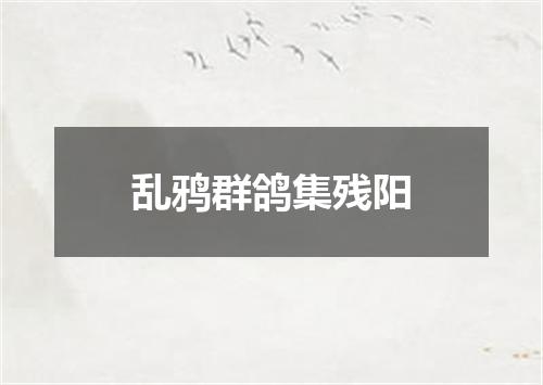 乱鸦群鸽集残阳