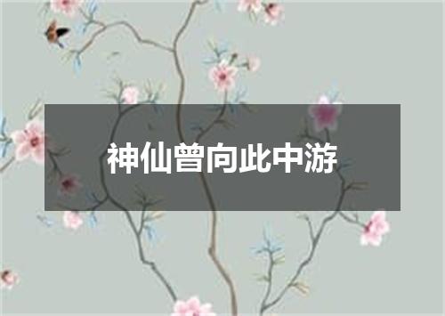 神仙曾向此中游