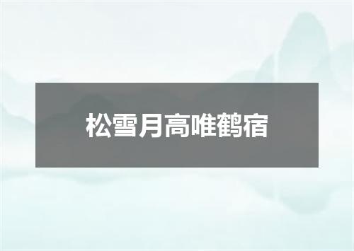 松雪月高唯鹤宿