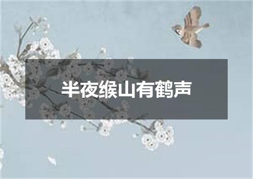 半夜缑山有鹤声