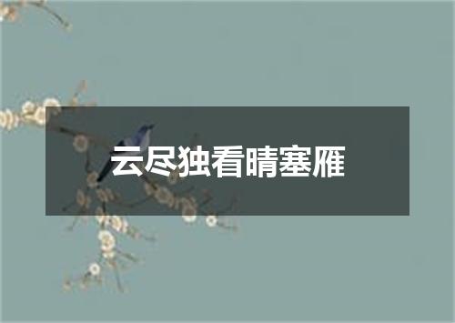 云尽独看晴塞雁