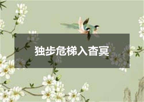 独步危梯入杳冥