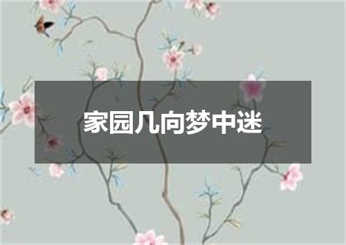 家园几向梦中迷