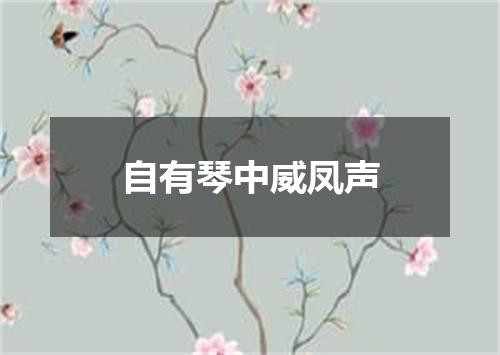 自有琴中威凤声