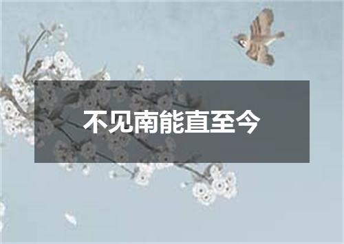 不见南能直至今