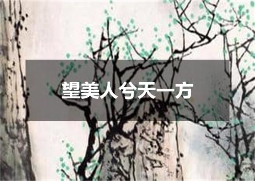 望美人兮天一方