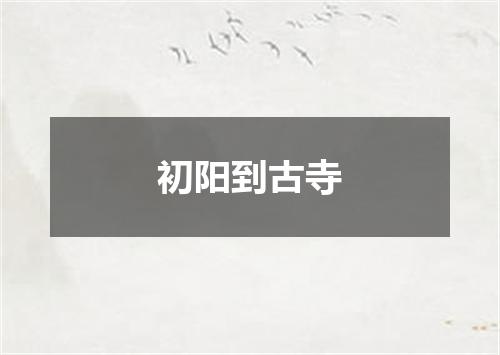 初阳到古寺