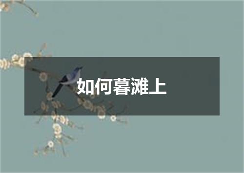 如何暮滩上