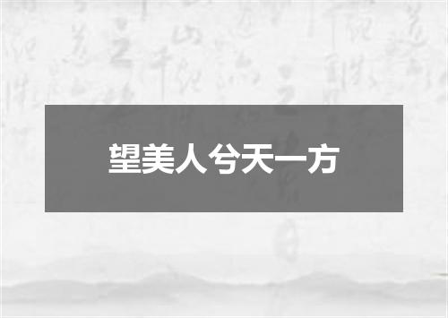 望美人兮天一方