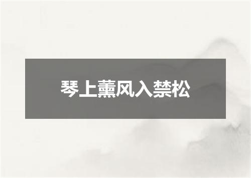 琴上薰风入禁松