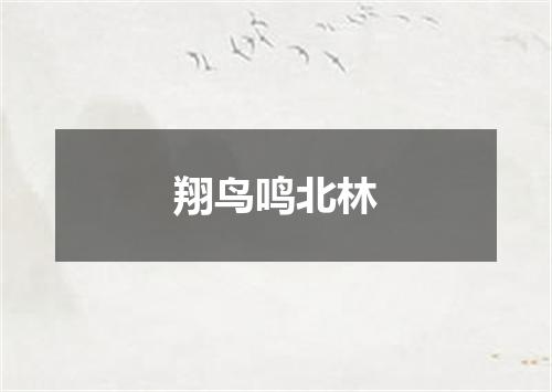 翔鸟鸣北林