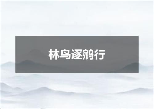林鸟逐鹓行